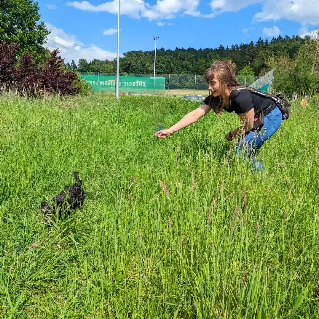 Hundeschule Willenskraft & Akademie – Welpentraining, Gruppenkurse und Team (Bild 3)