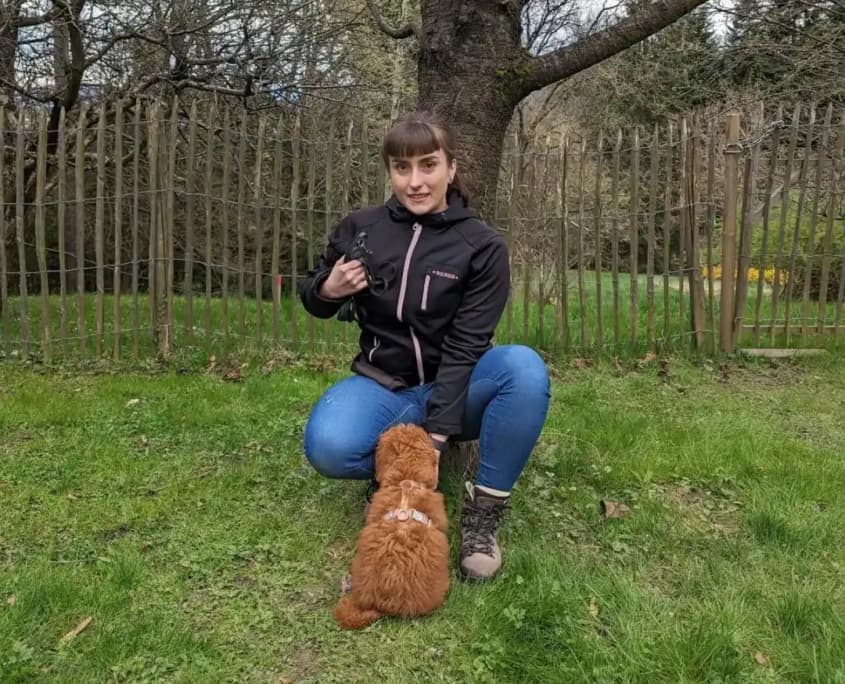Training mit positiver Verstärkung