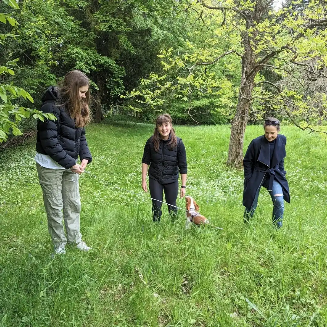 Hundeschule Willenskraft & Akademie – Welpentraining, Gruppenkurse und Team (Bild 1)