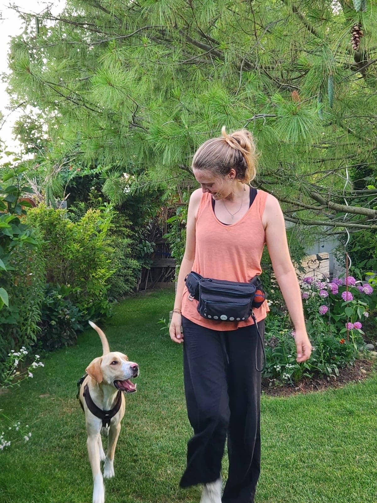 Katrin Ladler — Hundeschule Willenskraft